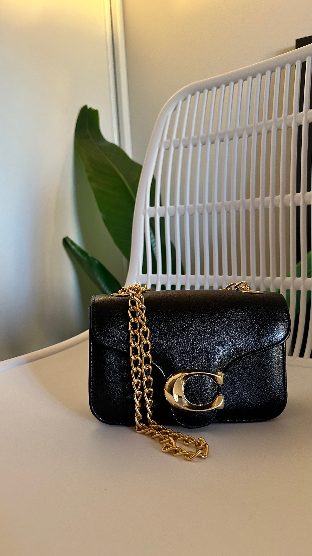 Mini Bag Coach